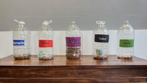 Coin Bottles Thurs AM